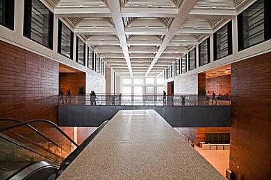 《宝可梦：晶灿钻石＆明亮珍珠》新BUG让人略觉不雅