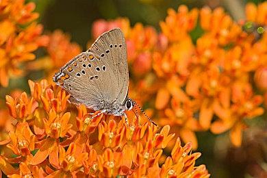 空前战场空前应对！《战地风云2042》制作组24小时无间断升级体验